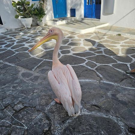 Апартаменты Lalaland Mykonos Town Экстерьер фото