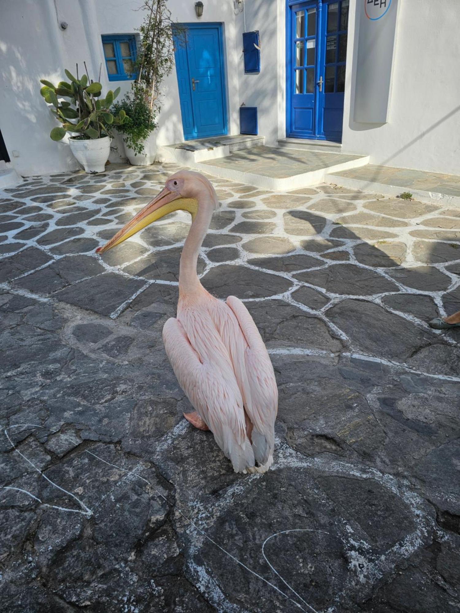 Апартаменты Lalaland Mykonos Town Экстерьер фото
